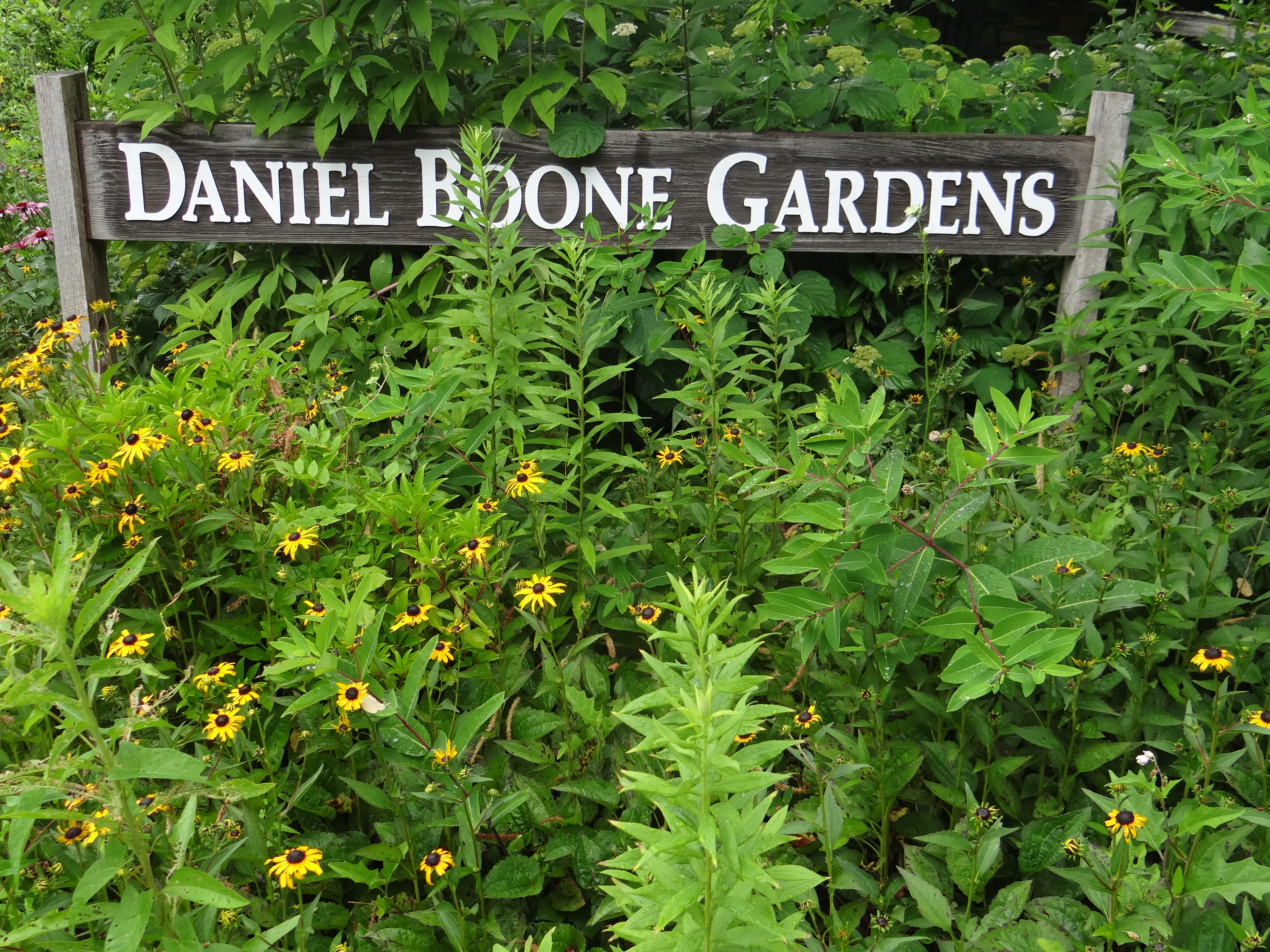 Boone Nc Daniel Boone Native Gardens Ranger Annette